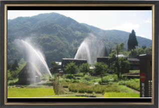 �h�ЌP���̗l�q