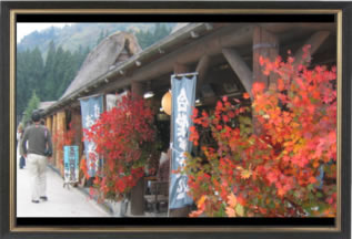 �H�̑��q���i